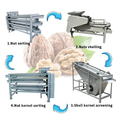 스테인리스 스틸 껍질 찢기 및 분리 고속 Walnut Palm Nut Sheller