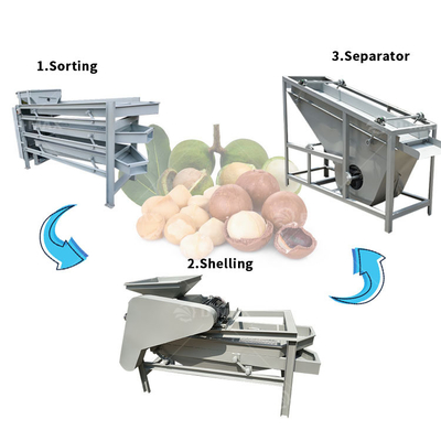 스테인리스 스틸 껍질 찢기 및 분리 고속 Walnut Palm Nut Sheller