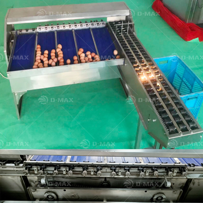 달걀을 올리는 기계와 오리 달걀 분류기 200W 용량 5400 달걀/시간